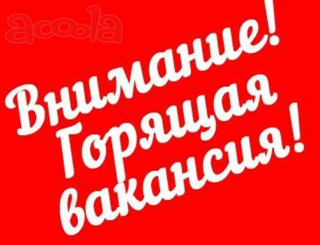 Работа на дому администратором интернет - магазина